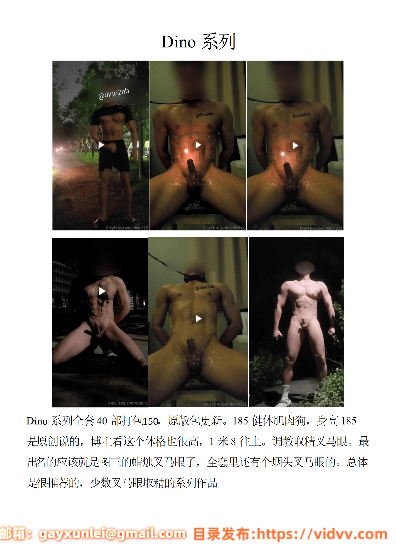 QJ161-Dino 系列【$150】【部数：40部】